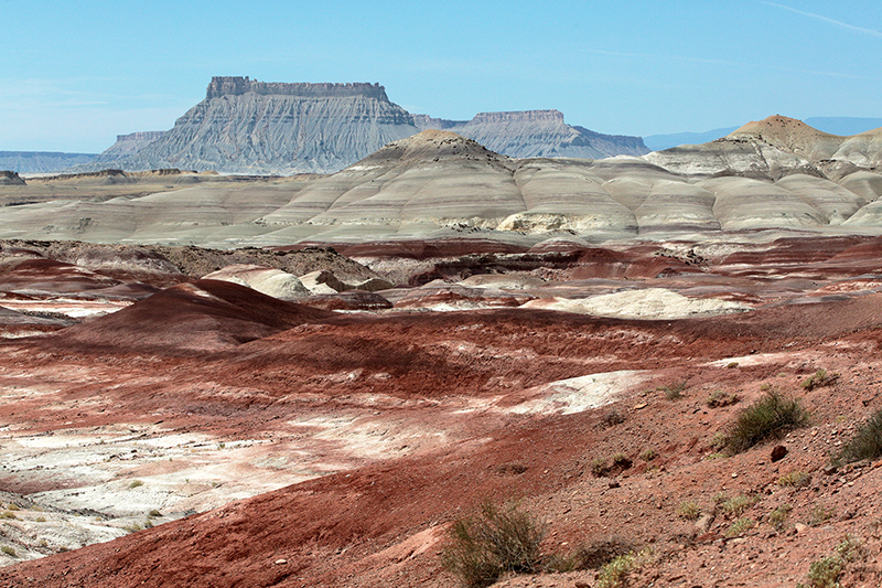 Bison : Antelope Island : Utah : Landscape Photos : Richard Moore : Photographer